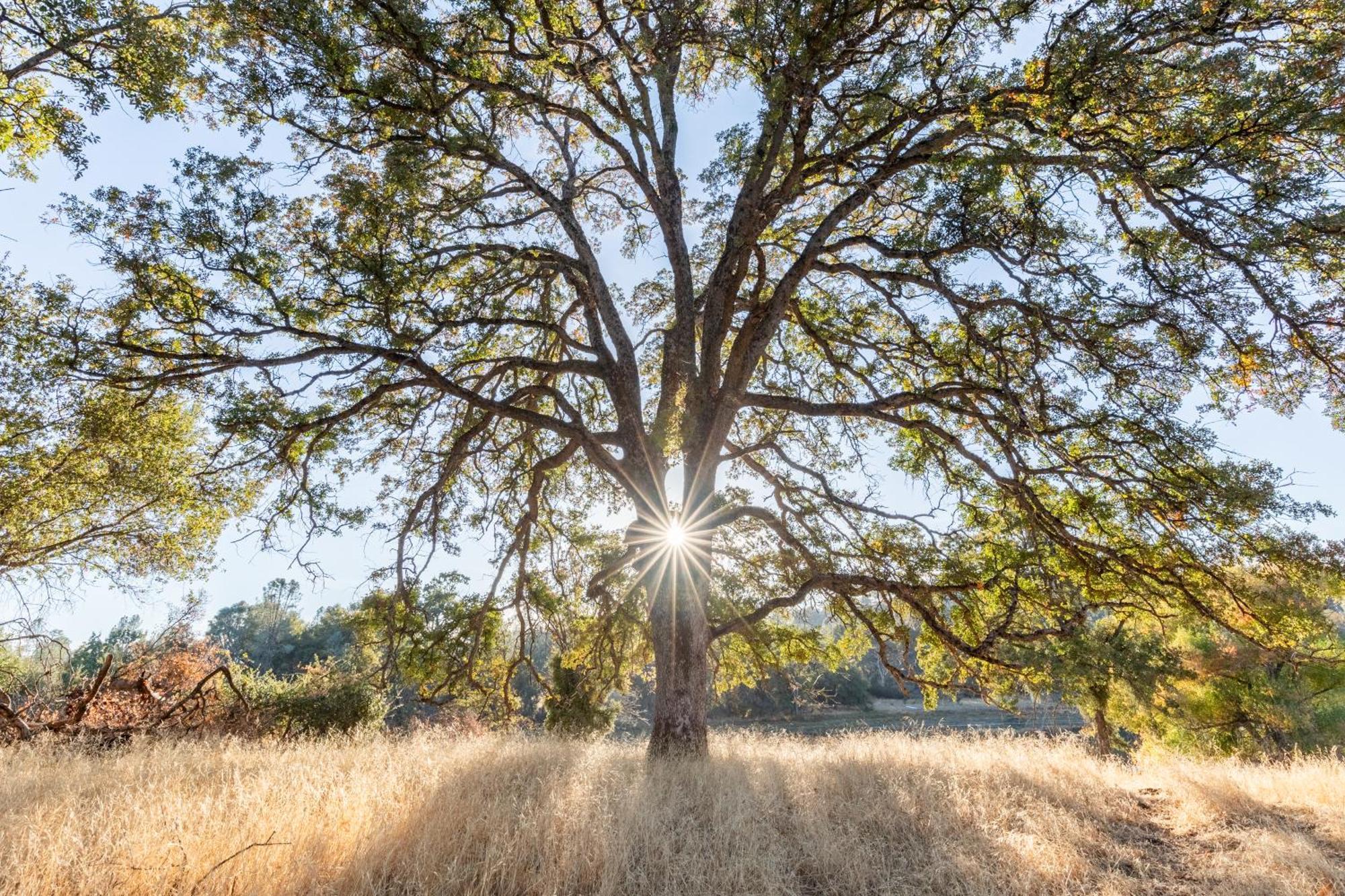 Rolling Oaks Ranch - 200 Acres Of Lakeside Beauty & Countryside Serenity 马里波萨 外观 照片