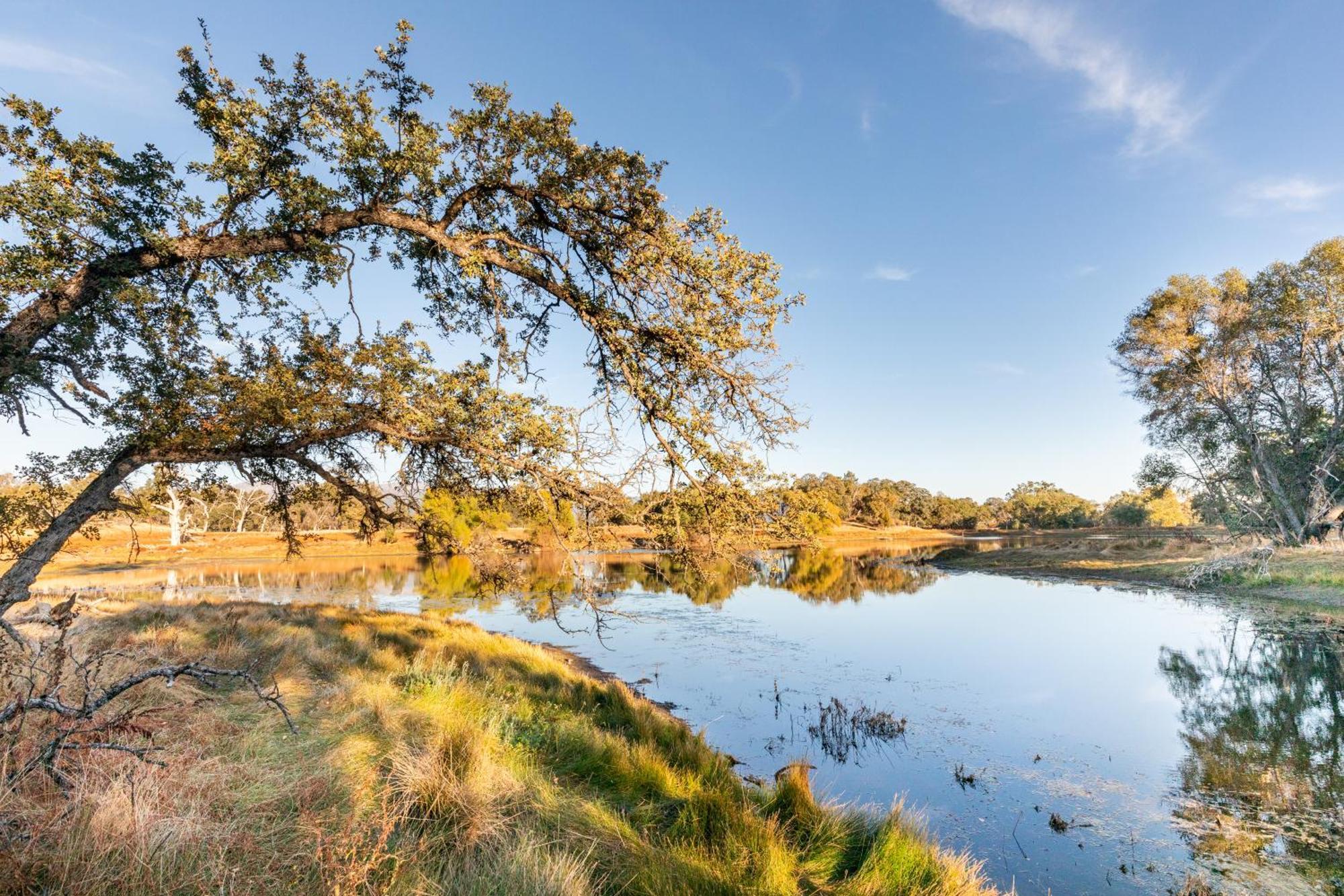Rolling Oaks Ranch - 200 Acres Of Lakeside Beauty & Countryside Serenity 马里波萨 外观 照片