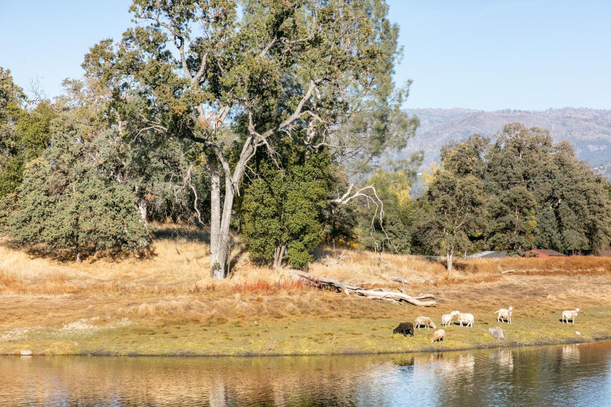 Rolling Oaks Ranch - 200 Acres Of Lakeside Beauty & Countryside Serenity 马里波萨 外观 照片
