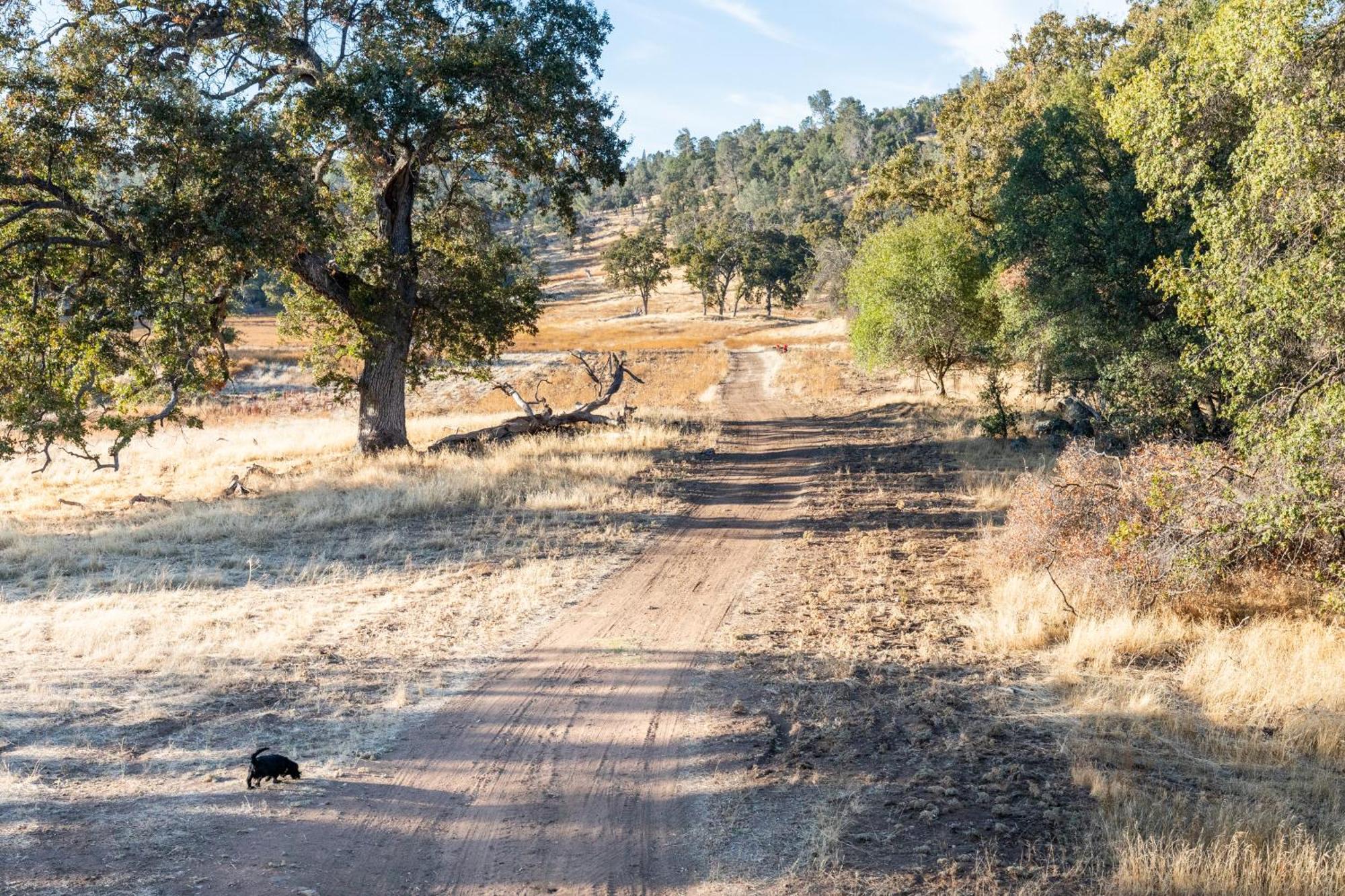 Rolling Oaks Ranch - 200 Acres Of Lakeside Beauty & Countryside Serenity 马里波萨 外观 照片