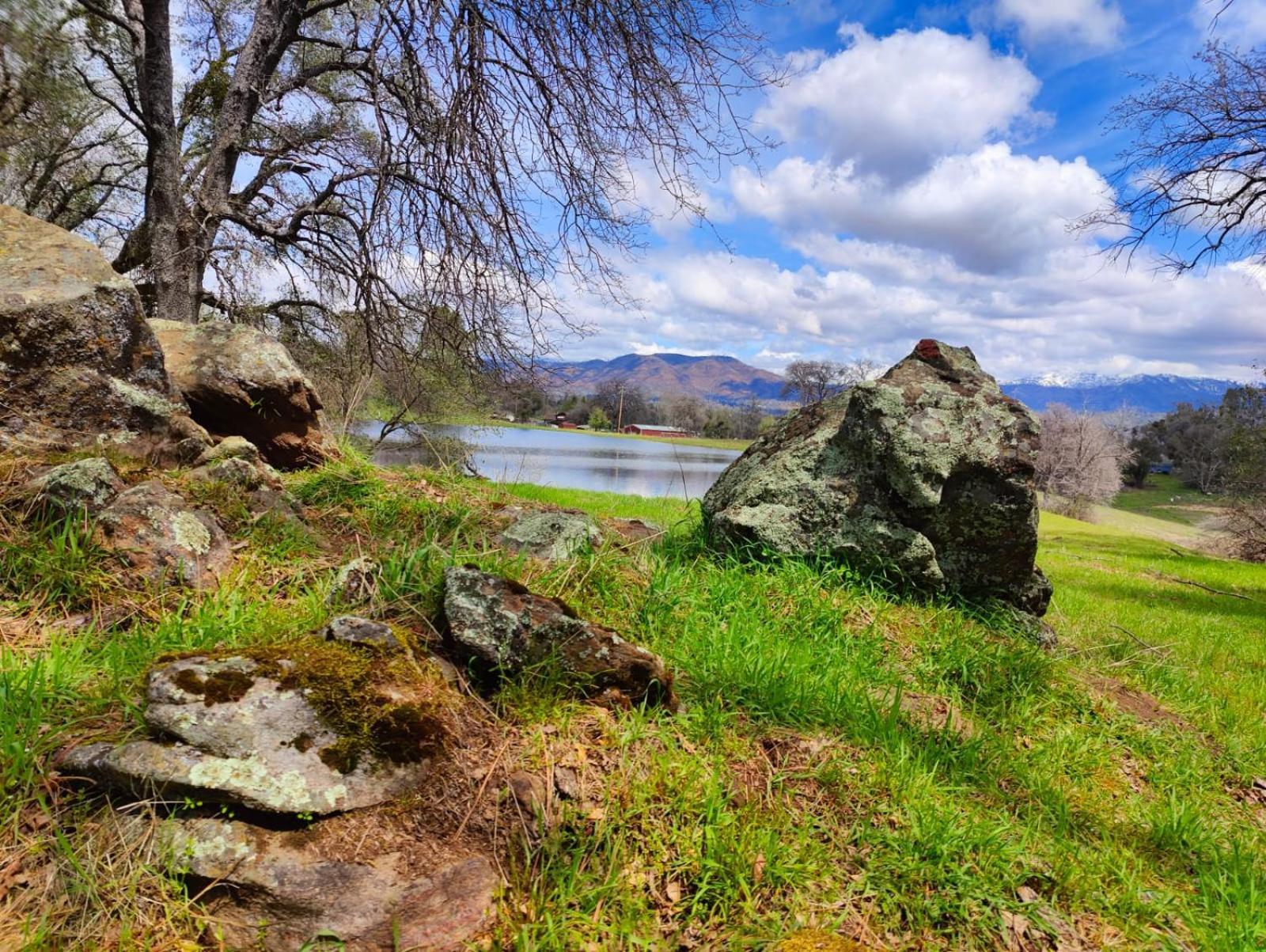 Rolling Oaks Ranch - 200 Acres Of Lakeside Beauty & Countryside Serenity 马里波萨 外观 照片